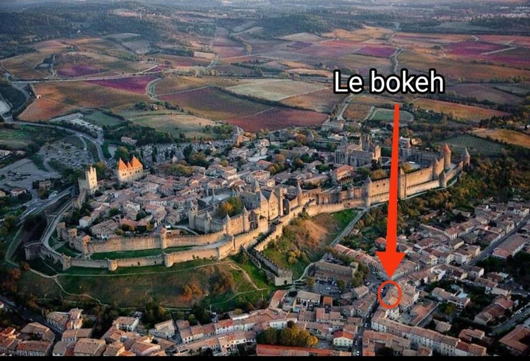 Le Bokeh - Face A La Cite Medievale 卡尔卡松 外观 照片